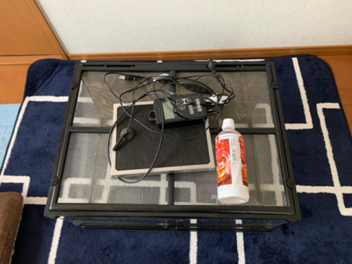 特大爬虫類ケージ　ゲージ