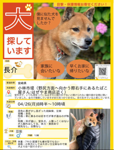 誘拐の可能性あり 豆柴オス12才探してます Yap 小林の手伝って 助けての助け合い ジモティー
