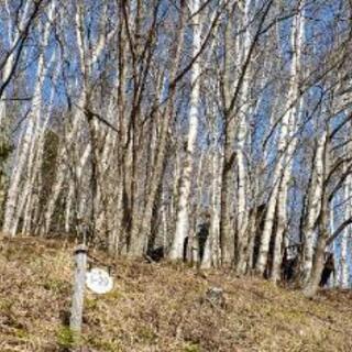 長野県　美しの国　別荘地