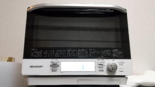 過熱水蒸気（スチーム）オーブンレンジ RE-F31-A