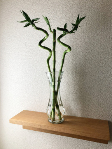 観葉植物ミリオンバンブーストレートとスパイラルの計3本セット38cmフラワーベース付き Shun植物と暮らす 新宿の家庭用品 ガーデニング の中古あげます 譲ります ジモティーで不用品の処分 観葉植物ミリオンバンブーストレートとスパイラルの計3本セット38cmフラワーベース付き Shun植物と暮らす 新宿の家庭用品 ガーデニング の中古あげます 譲ります ジモティーで不用品の処分