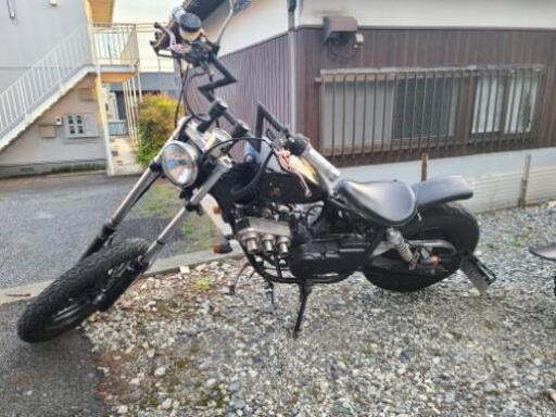 マグナ50
