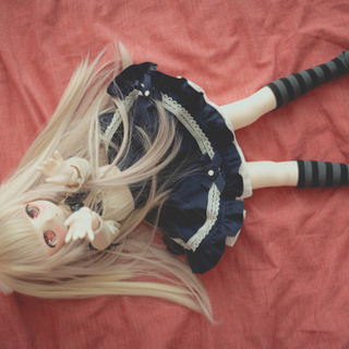 ドルフィードリーム DDH-01 MDD SW フルカスタム 里親募集