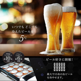 ポータブル冷凍&冷蔵庫　オウルテック　ICECO 12L