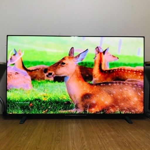 ③即日受渡❣️4ヶ月前購入 東芝REGZA75型TV 4K内蔵 保証書付 168000円