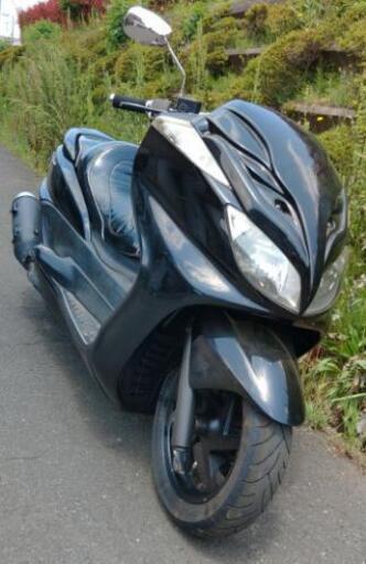 グランドマジェスティ250　(1371)