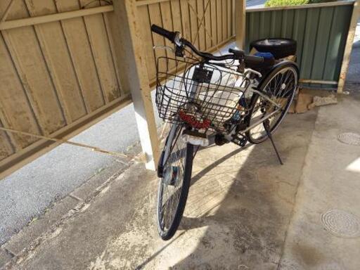 丸石電動自転車 丸石電動自転車 ASWL20KDR 20インチ ビュー