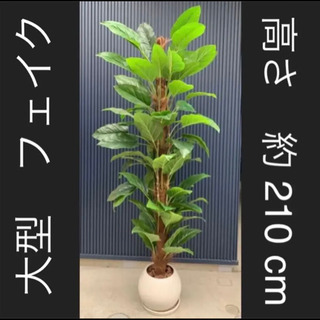 観葉植物　フェイク　大型　高さ約210cm 