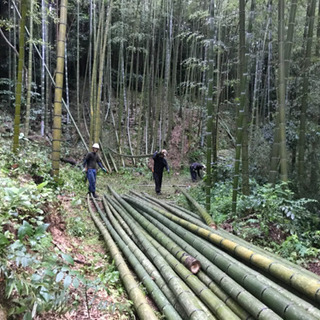 竹に関するお仕事　スタッフ募集