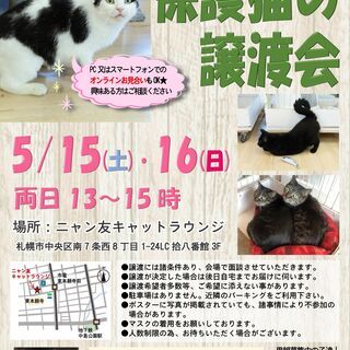 【札幌】保護猫の譲渡会（5/15-16）