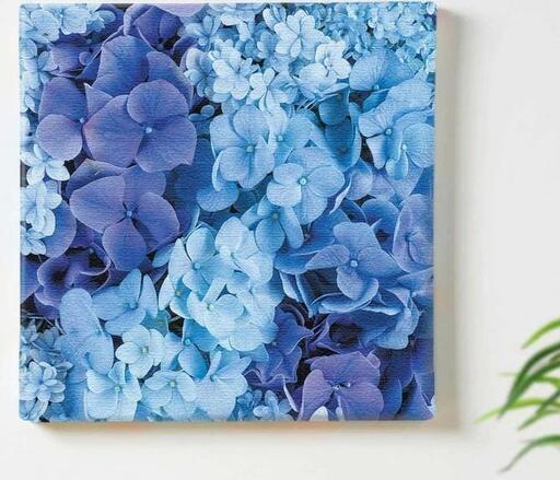 ⑧アートデリ ポスター パネル 花 100cm × 100cm 竹内陽子 日本製 軽量