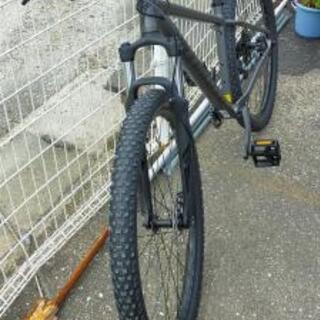 内定済最終大幅値下げMTB新品同様購入5月ROCKHOPPER COMP 29 
