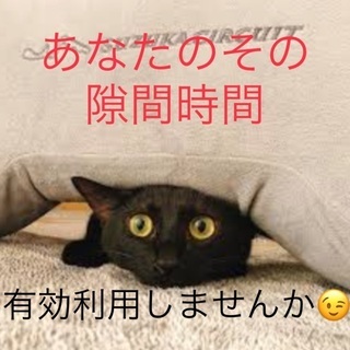 ✨自分の時間でポスティング💪🏾😊📄✨