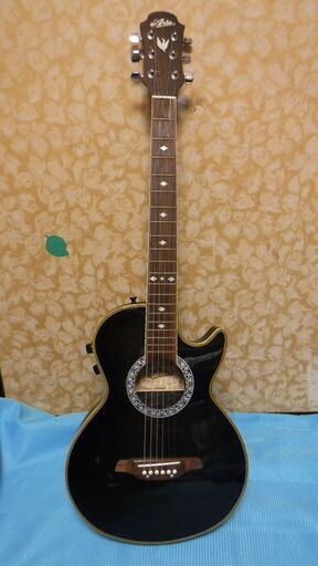 ARIA  AMB 35S（エレアコ）+　Marshall MG 15 CDR