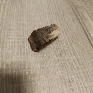 珪化木(けいかぼく)　天然石