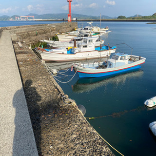 釣り仲間募集🎣 - 伊万里市