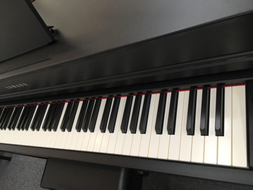 サマーセール！開催！ 今だけ表示価格より5000円引き！ 8月7日～8月22  