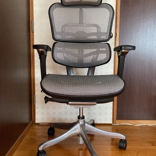 Ergohuman エルゴヒューマンプロ ヘッドレスト付き