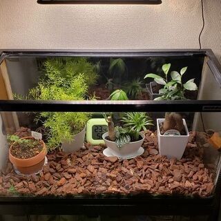【ネット決済】植物育成、及び水槽用LED照明 