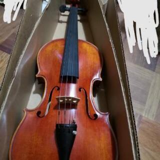SUZUKI　バイオリン
