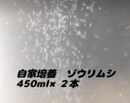 自家培養ゾウリムシ450ml 2本針子などの餌に 優めだか 笹川のその他の中古あげます 譲ります ジモティーで不用品の処分 自家培養ゾウリムシ450ml 2本針子などの餌に 優めだか 笹川のその他の中古あげます 譲ります ジモティーで不用品の処分