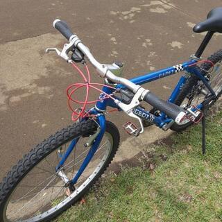 MTB PEUGEOT CADET！