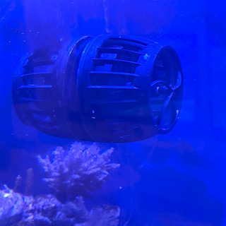 Vortech mp10 水流ポンプ ecotech marine