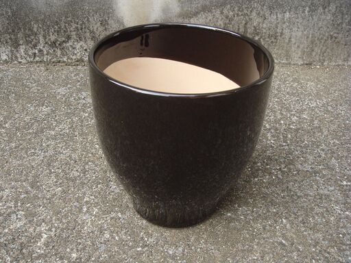 蘭が入っていた鉢(黒)