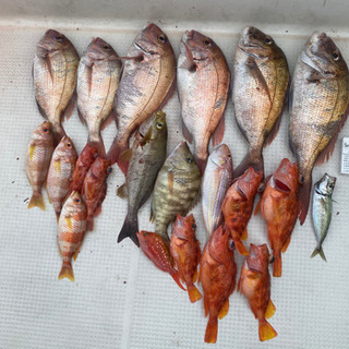 釣り仲間募集🎣 − 佐賀県