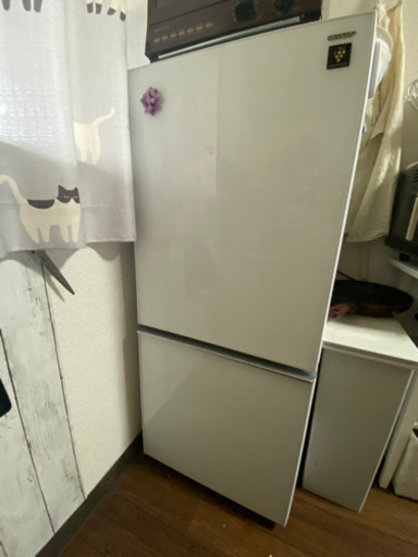 シャップ冷蔵庫