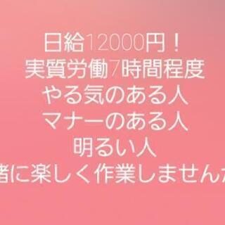 日給12000円！5月16日、17日片付け、清掃、運搬、作業員募集！