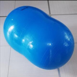 ギムニク フィジオロール LP8803 70 cm - L 115 cm 青