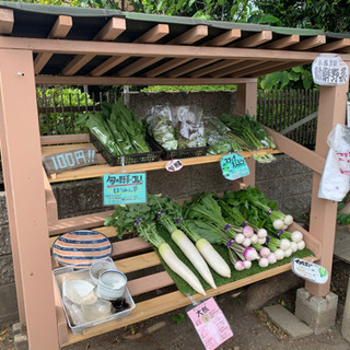 農業体験してみませんか？ボランティア募集しています👩‍🌾