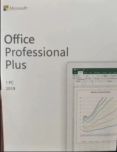 Microsoft Office Professional plus 2019 Windows対応 永続利用 1台PC