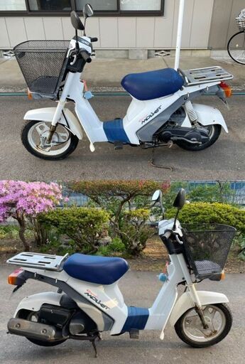 スズキ SUZUKI スーパーモレ Super MOLLET