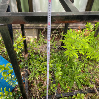 大型水槽台！　引き取り限定！！