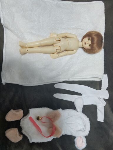 ボークスの幼SD「たんぽぽ」です。(決まりました。ありがとうございます。)