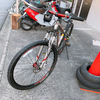 TREK スポーツ自転車