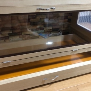 ハリネズミ飼育セット一式