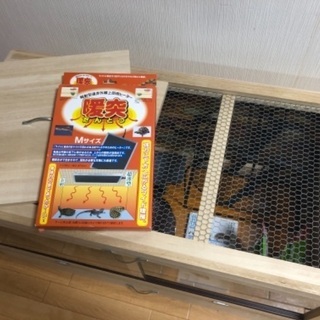 ハリネズミ飼育セット一式