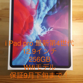 ipad pro 12.9 第四世代 256 Wifiモデル