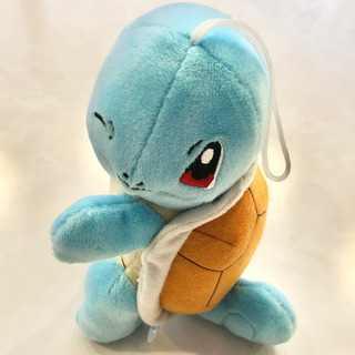中古ゼニガメが無料 格安で買える ジモティー 中古ゼニガメが無料 格安で買える ジモティー