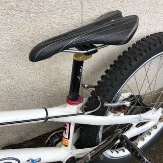 エコー ECHO トライアル自転車