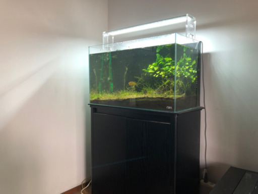 ADA水槽(60cm)、LED照明(引き取り限定) | opal.bo