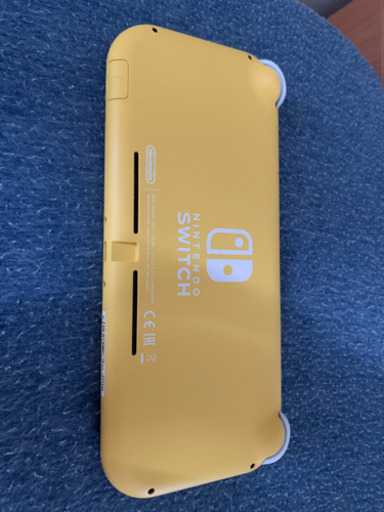 Nintendo Switch light 箱、充電器付き、保証書無し | monsterdog.com.br