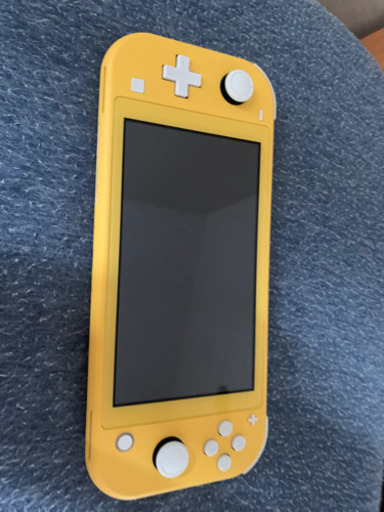 Nintendo Switch light 箱、充電器付き、保証書無し