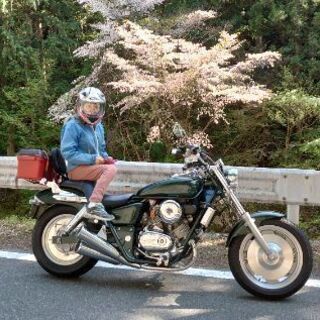 50年ぶりにバイク（マグナ）に乗り始めた