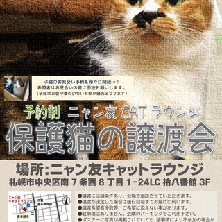 【札幌】保護猫の譲渡会（5/22-23）