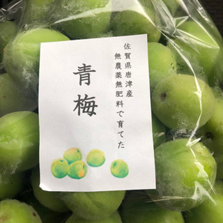 無農薬栽培の青梅