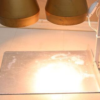 Lamp Warmer ランプウォーマー TAYLI テイリーヒートランプウォーマー 